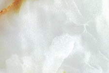 White2 Onyx