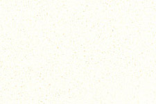 Hansa White